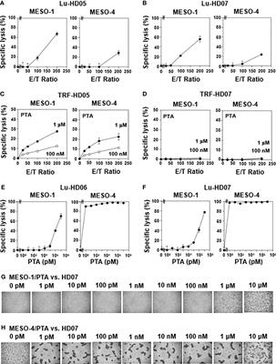 Three distinct mechanisms underlying human γδ T cell-mediated cytotoxicity against malignant pleural mesothelioma